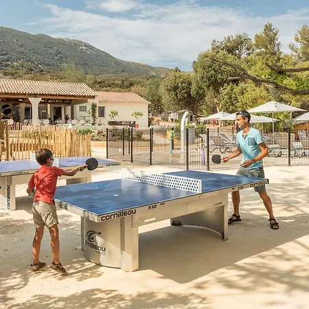 Corsica Paradise كالكاتوكجيو